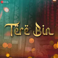 Shani Arshad — Tere Bin — обложка